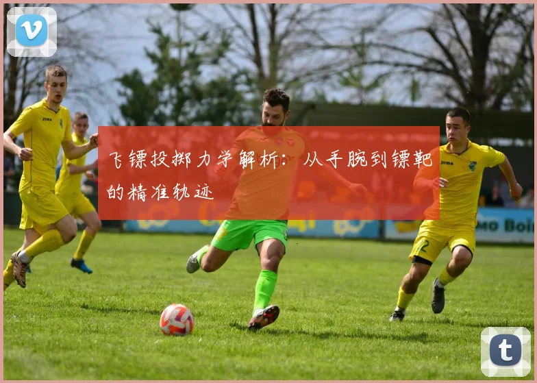 飞镖投掷力学解析：从手腕到镖靶的精准轨迹