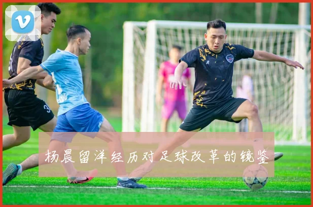 杨晨留洋经历对足球改革的镜鉴