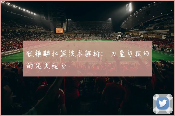 张镇麟扣篮技术解析：力量与技巧的完美结合